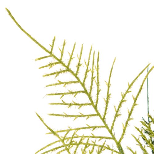 Branche de fougère artificielle décorative, verte, réaliste, 56 cm | Floristik24.be