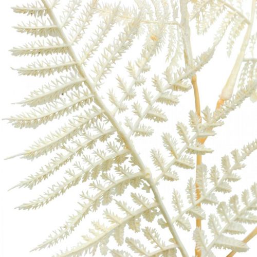 Article Fougère feuille décorative, plante artificielle, branche de fougère, feuille de fougère décorative blanche L59cm