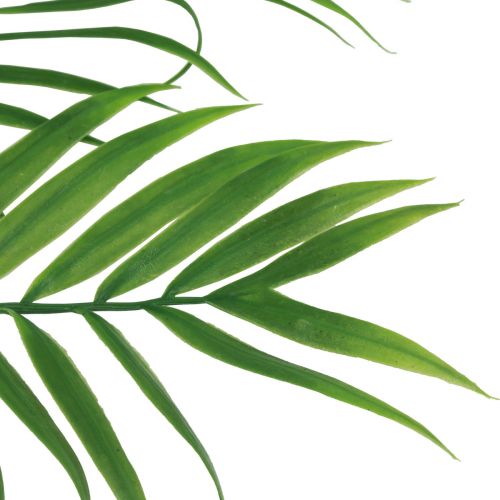 Article Feuilles de palmier artificielles Plantes vertes artificielles 56cm 3pcs