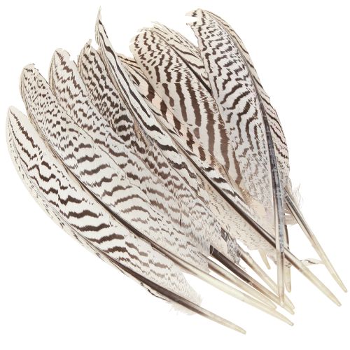 Article Plumes de faisan pour travaux manuels marron beige naturel 20cm 20pcs