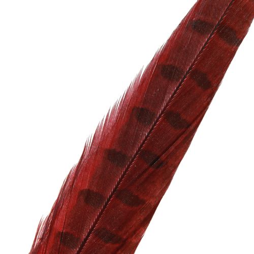 Article Plumes de Faisan Rouge Vraies Plumes Décoration Vin Rouge 35-45cm 9 pcs