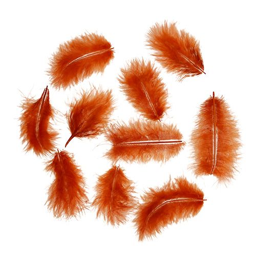 Article Plume courte, orange foncé 30g