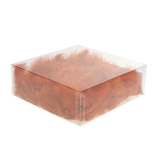 Floristik24 Plume courte, orange foncé 30g