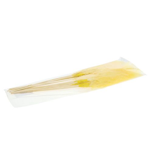 Floristik24 Ressort sur tige L 30cm Jaune 12pcs