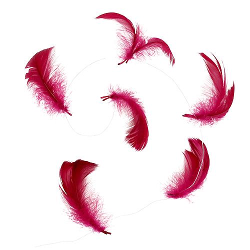 Floristik24 Ressort sur fil Erika 10m