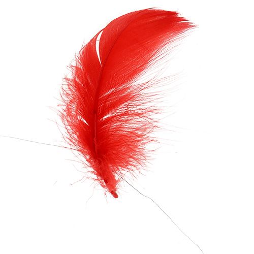 Plumes sur fil Rouge 10m