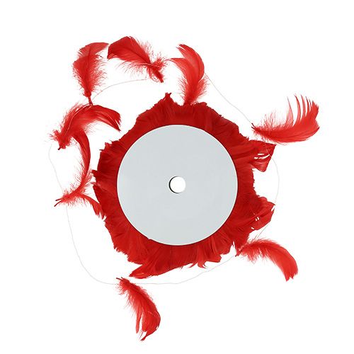Floristik24 Plumes sur fil Rouge 10m