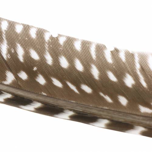 Article Plumes naturelles 18 - 24cm 10g