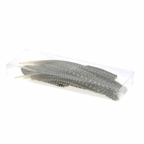 Floristik24 Plumes naturelles 18 - 24cm 10g