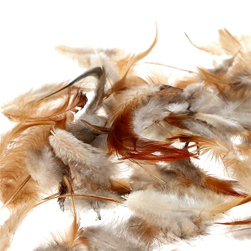 Floristik24 Sorte de plumes. 5-15cm nature 228pcs