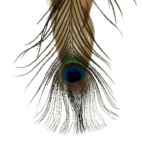 Floristik24 Cintre plume plume de paon 34cm 3pcs