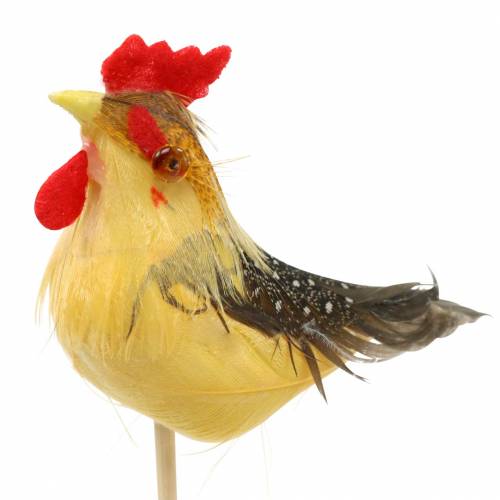 Floristik24 Coq avec vraies plumes sur bâton orange, jaune, marron assorti H5-6cm 12 pcs