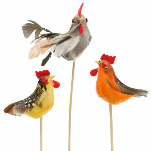 Floristik24 Coq avec vraies plumes sur bâton orange, jaune, marron assorti H5-6cm 12 pcs