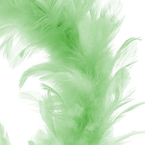 Article Couronne de plumes Vert clair Ø15cm 4pcs