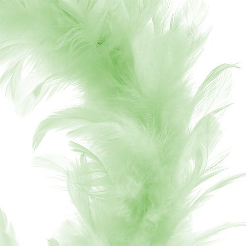 Article Couronne de plumes Vert clair Ø20cm 3pcs