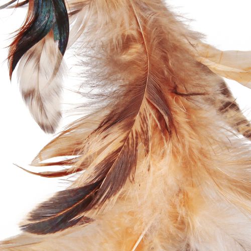 Article Couronne de plumes en plumes décoratives marron clair Ø20cm 3 pcs