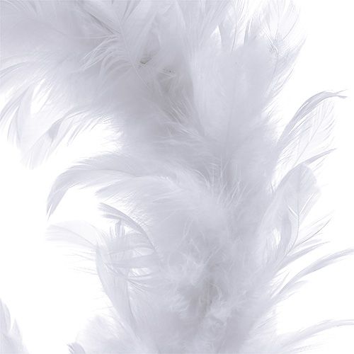 Floristik24 Couronne de plumes blanche Ø 15 cm 4 p.