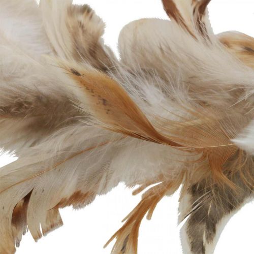 Article Guirlande de plumes déco plumes décoration fenêtre nature Ø20cm 3pcs