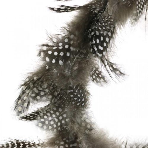 Floristik24 Couronne de plumes décoratives Couronne de vraies plumes de pintade Ø20cm 3 pièces