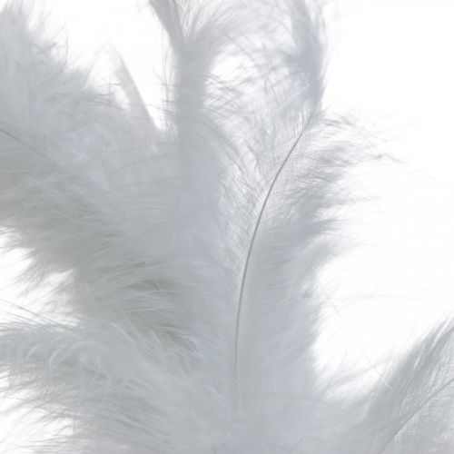 Floristik24 Couronne de plumes blanc Ø20cm couronne décorative printemps vraies plumes 3 pcs