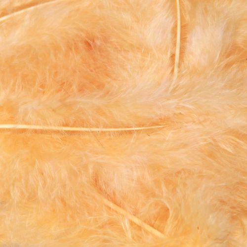 Article Plumes orange pour bricolage de printemps et de Pâques 5-10cm 20g