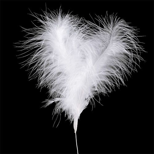 Article Plumes sur fil L27cm blanc 6 pcs