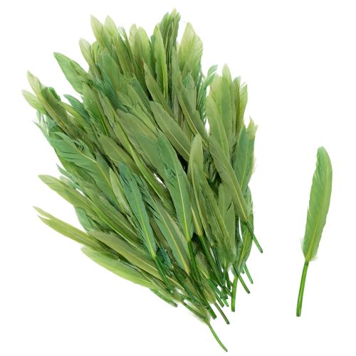 Plumes décoratives pour une ambiance élégante et une décoration impressionnante 10 cm