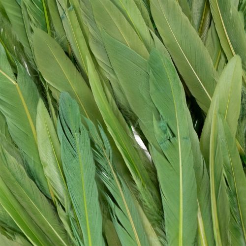 Article Plumes décoratives pour une ambiance élégante et une décoration impressionnante 10 cm