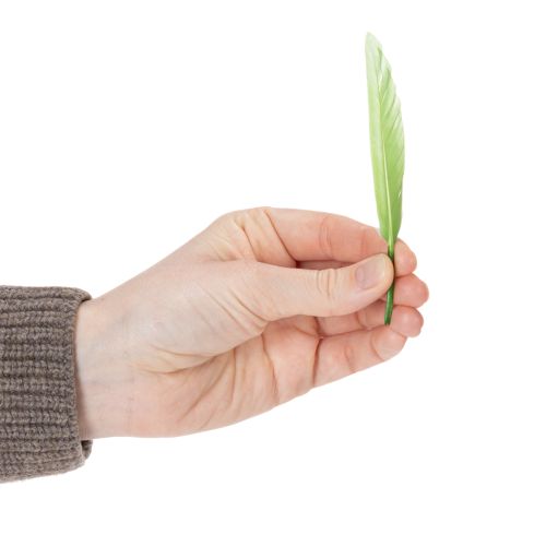 Article Plumes décoratives pour une ambiance élégante et une décoration impressionnante 10 cm