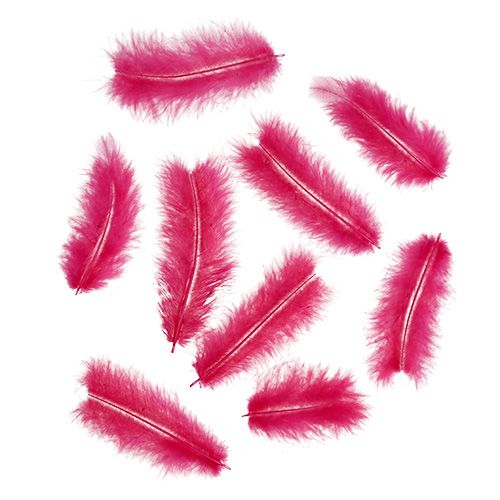 Floristik24 Plumes courtes 30g Rose fuchsia