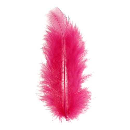 Floristik24 Plumes courtes 30g Rose fuchsia