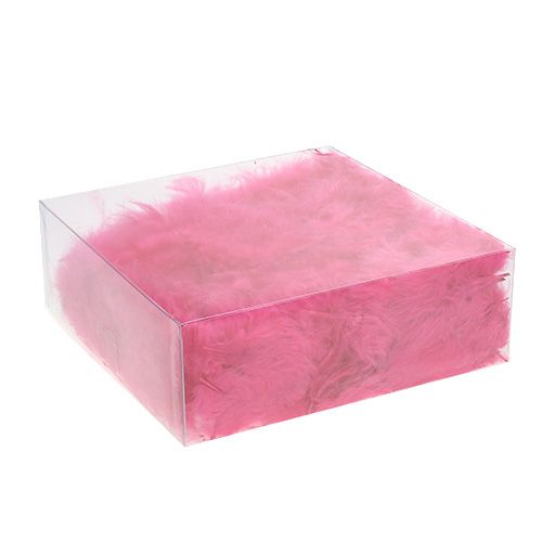 Floristik24 Plumes courtes 30g Rose fuchsia