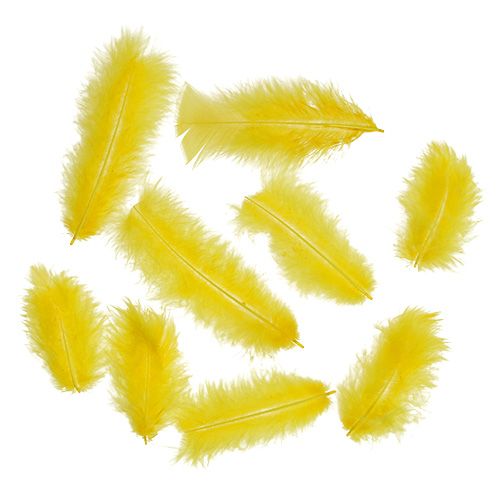 Floristik24 Plumes courtes 30g Jaune