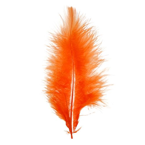 Article Plumes courtes 30g Orange