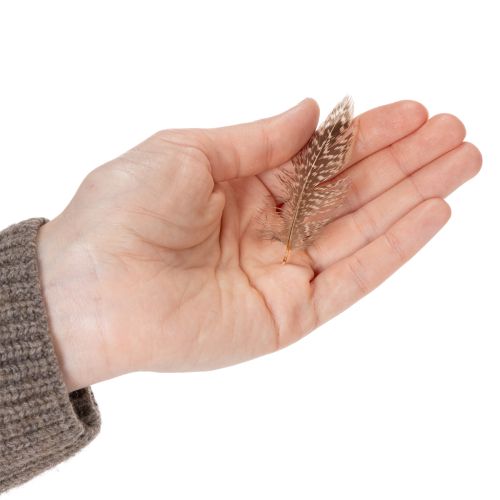 Article Plumes pour des idées de loisirs créatifs variées, design et décoration, 5 cm, 3 g