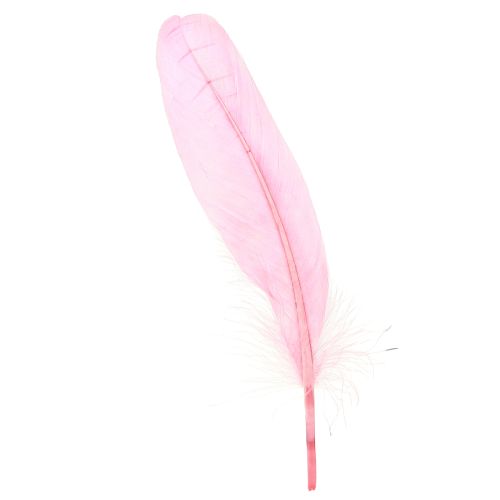 Article Plumes pour travaux manuels Plumes d&#39;oie rose 18cm - 20cm 20g x 2pcs