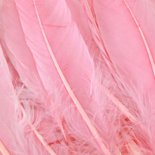 Article Plumes pour travaux manuels Plumes d&#39;oie rose 18cm - 20cm 20g x 2pcs