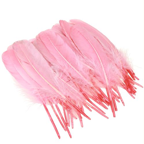 Article Plumes pour travaux manuels Plumes d&#39;oie rose 18cm - 20cm 20g x 2pcs