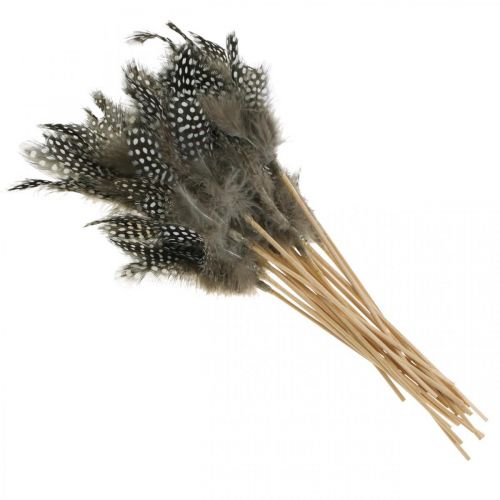 Article Plumes décoratives parsemées sur le bâton Véritables plumes de pintade 4-8cm 24 pcs