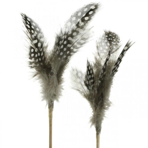 Floristik24 Plumes décoratives parsemées sur le bâton Véritables plumes de pintade 4-8cm 24 pcs