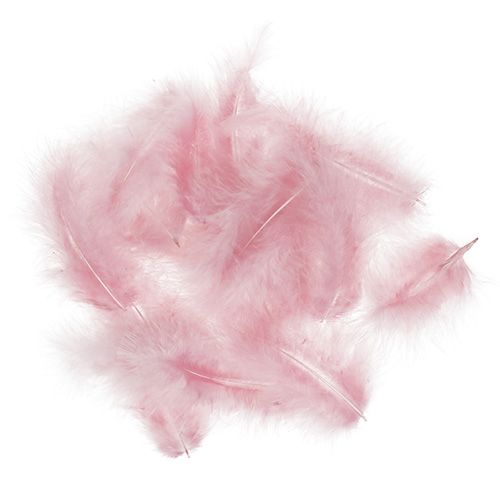 Floristik24 Plumes courtes 30g Rose