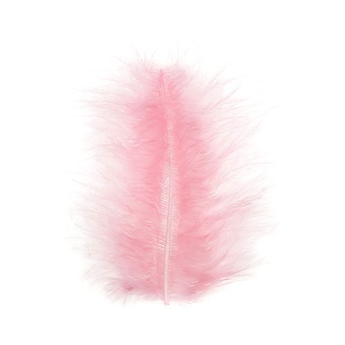 Floristik24 Plumes courtes 30g Rose