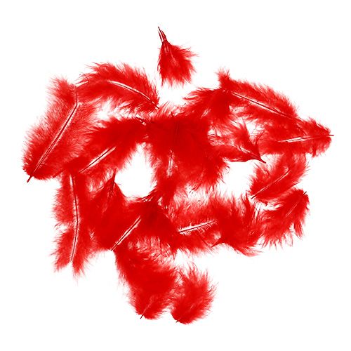 Article Plumes courtes 30g Rouge