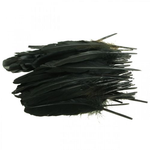 Article Plumes déco plumes d'oiseau noir pour bricolage 14-17cm 20g