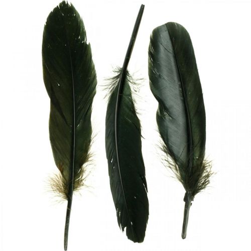 Floristik24 Plumes déco plumes d&#39;oiseau noir pour bricolage 14-17cm 20g