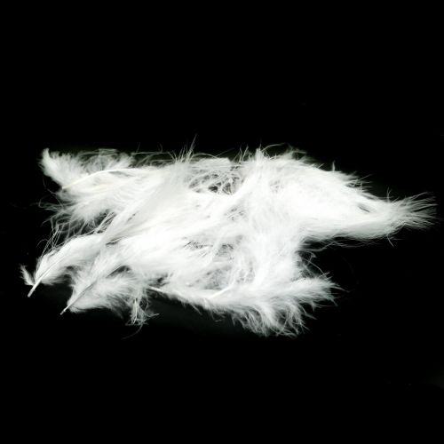 Floristik24 Plumes Blanches Véritables plumes d&#39;oiseaux pour décorer les décorations de Pâques 20g