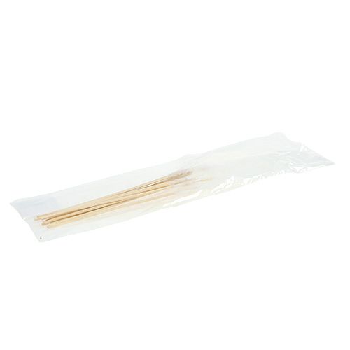 Floristik24 Piques avec plumes blanches L35cm 12P