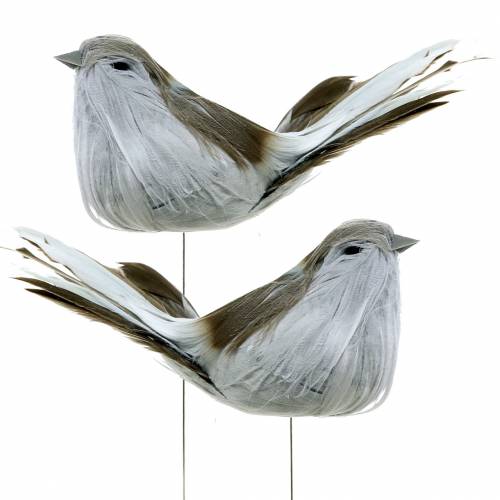 Floristik24 Plume oiseau sur fil gris 12cm 4pcs