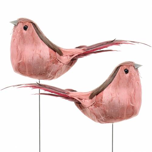 Floristik24 Plume oiseau sur fil rose 12cm 4pcs