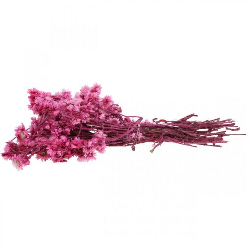 Article Mini Fleur en Paille Rose Fleur Séchée Fleur de Roche H20cm 15g